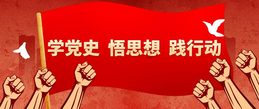 2024聊城年宵花藏宝图发布,蝴蝶兰、杜鹃等年宵花受热捧